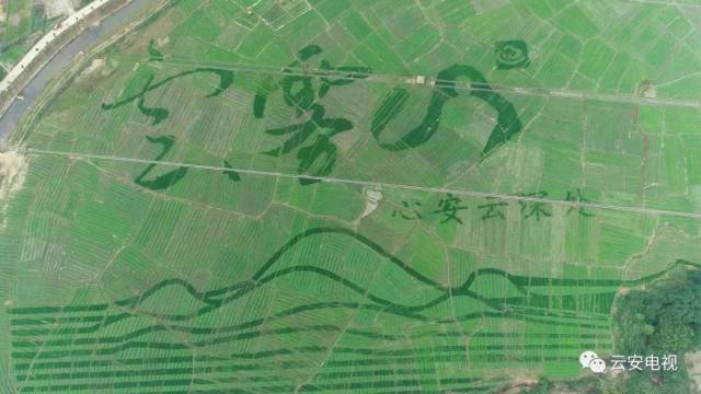 云雾山旅游区景点,美丽云雾山旅游攻略