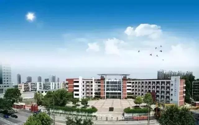 2019芜湖中学,芜湖中学排名榜2019