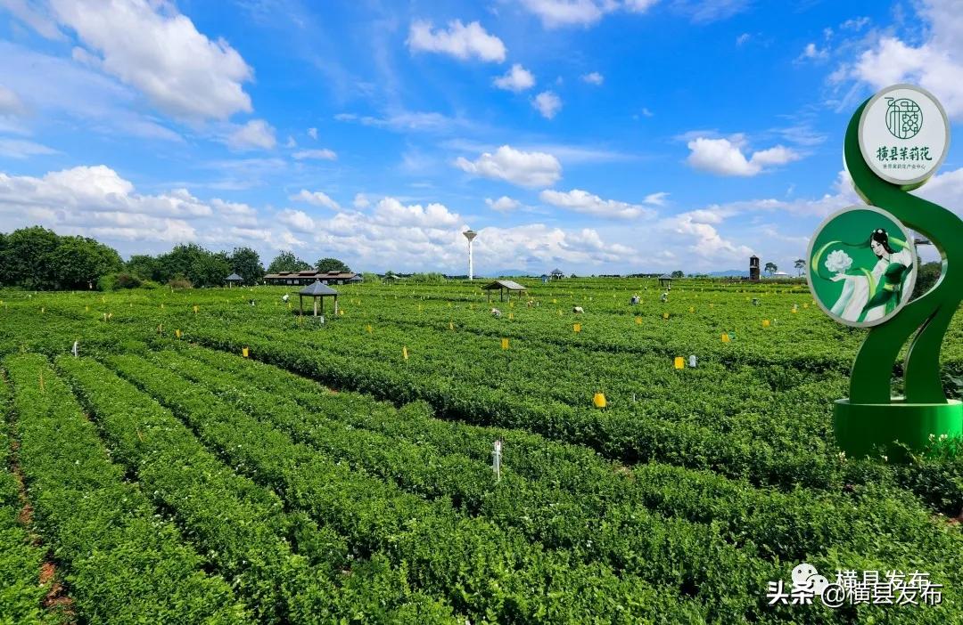从县到市到省,从县到区的过程