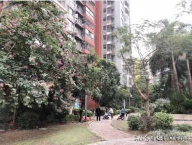 宀佹湀闈欏ソ澶氬Э澶氬僵,鑺辨牱骞村埆鏍峰煄娲嬫埧