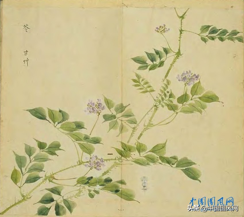 《诗经·国风·邶风》,诗经国风邶风简兮