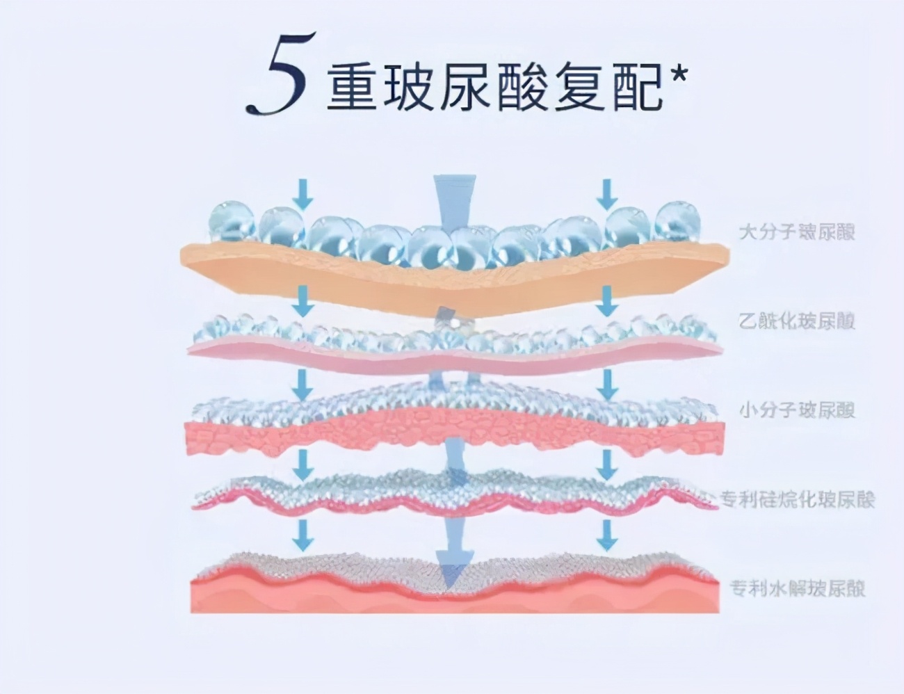芙荑,芙荑化妆品排第几