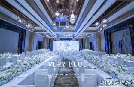 日弥新品nmn,日弥微商靠谱吗