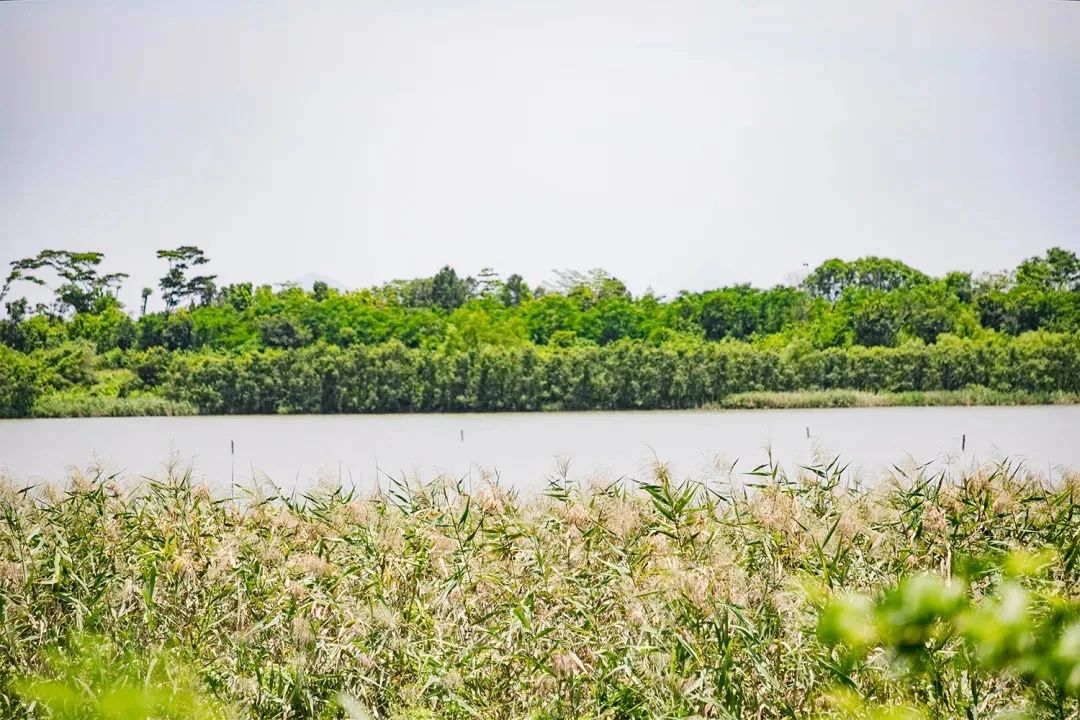 深圳周末浪漫好去处,深圳浪漫约会地点十个景点