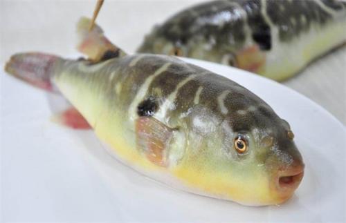 此味只应天上有，哪知全从长江来—长江三鲜