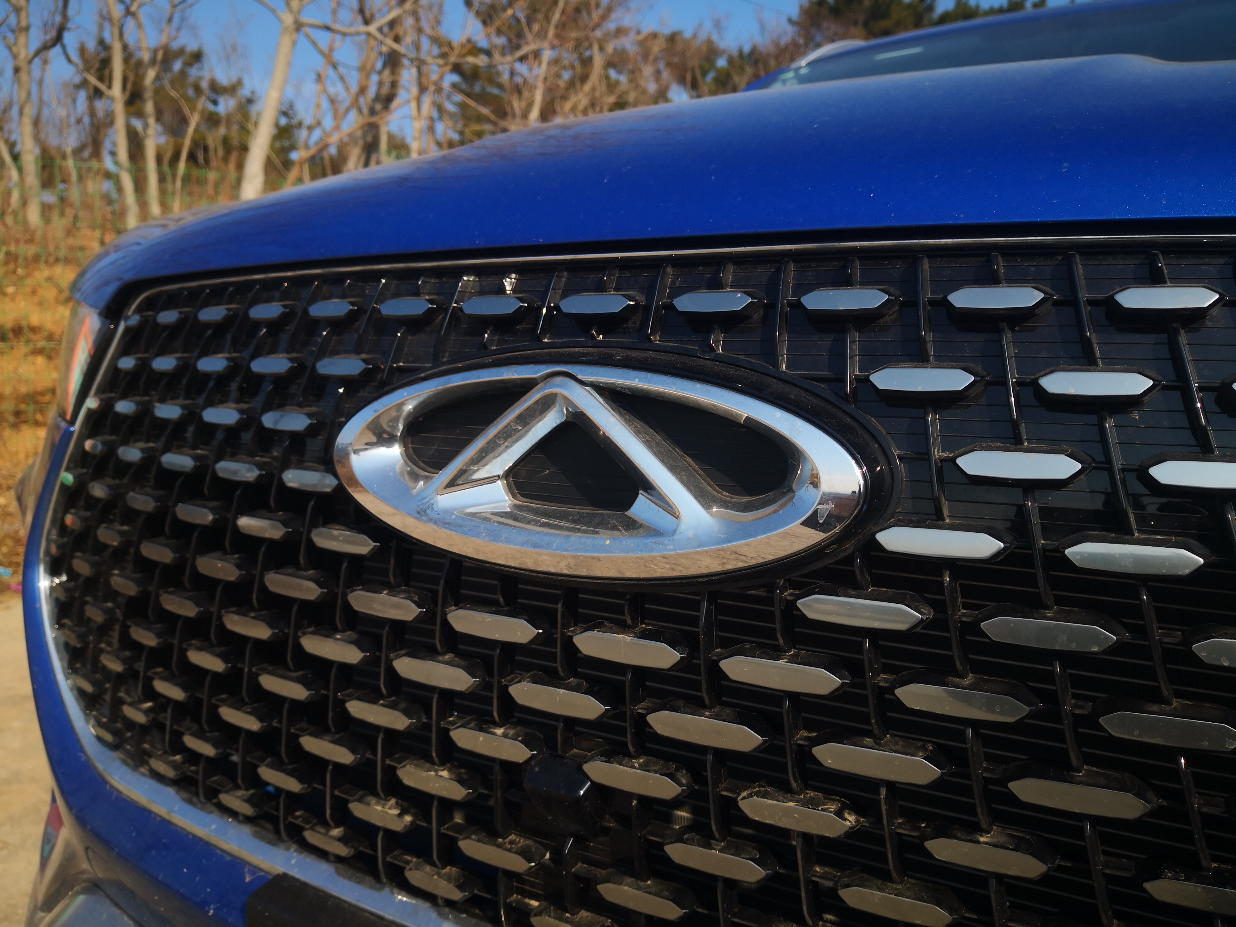 狗哥回答问题,狗哥说车采访