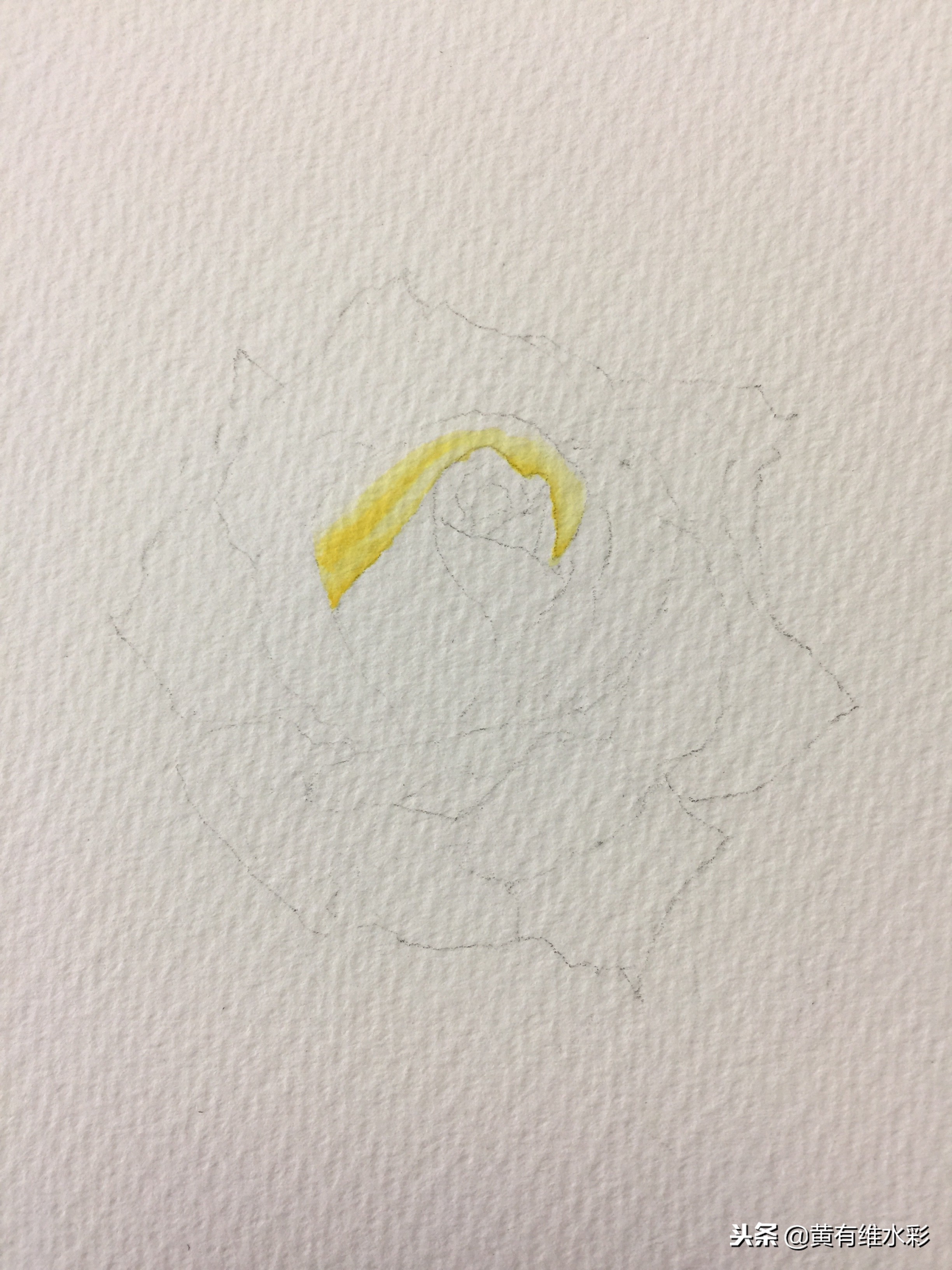 零基础入门水彩的基本画法,黄玫瑰水彩晕染