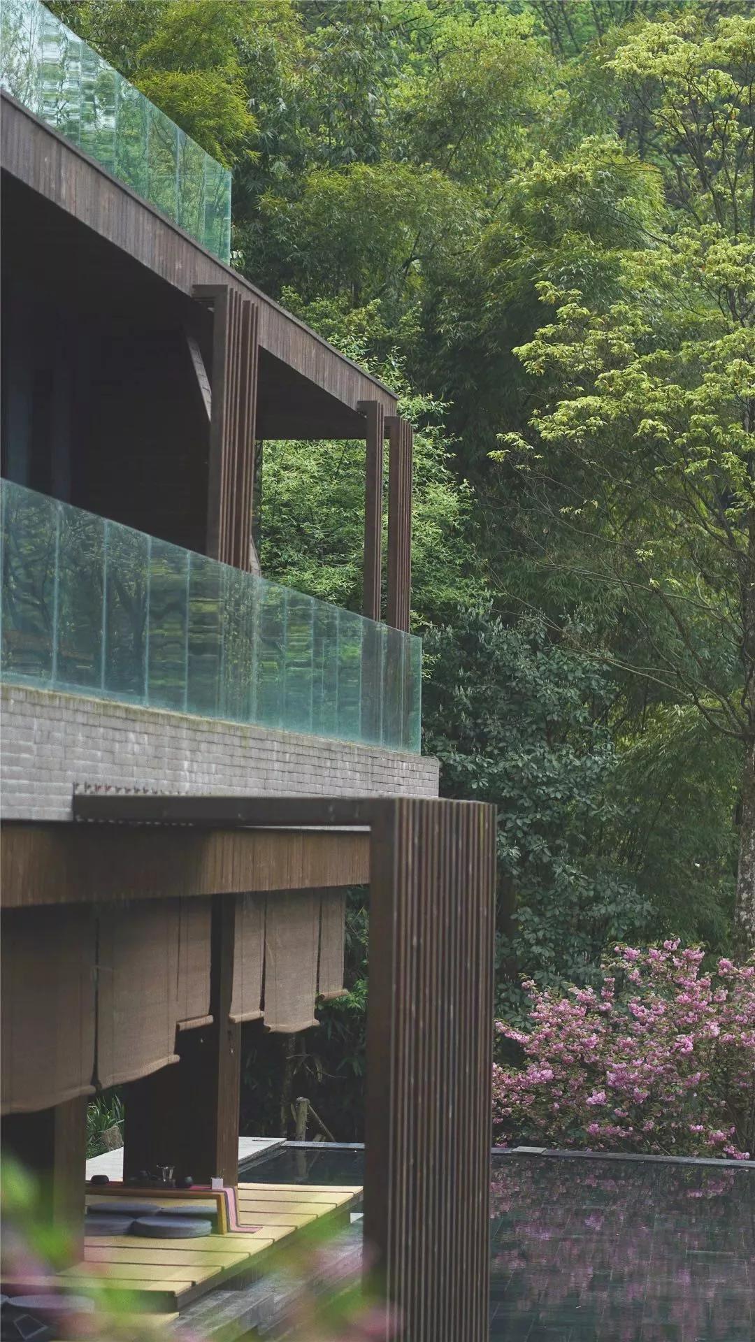 去了青城山才知道的宝藏民宿,青城山避暑农家小院