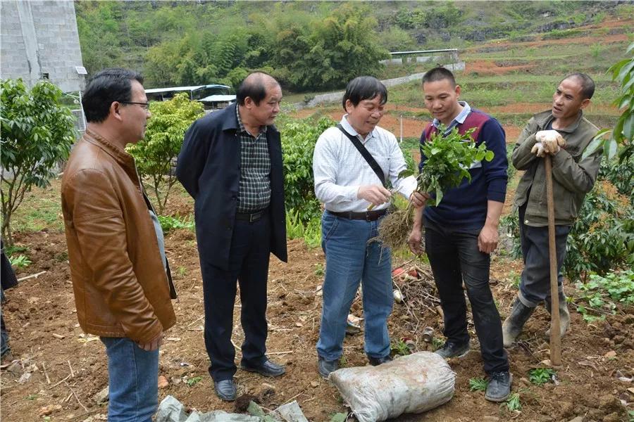 中农富玉大事记,中农富玉未来发展趋势