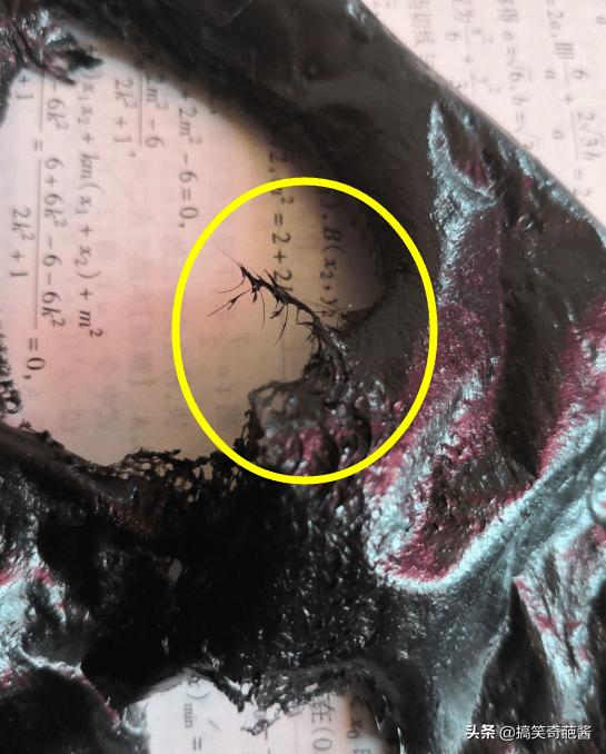 眉毛被面膜粘掉还能长出来吗,这是什么面膜