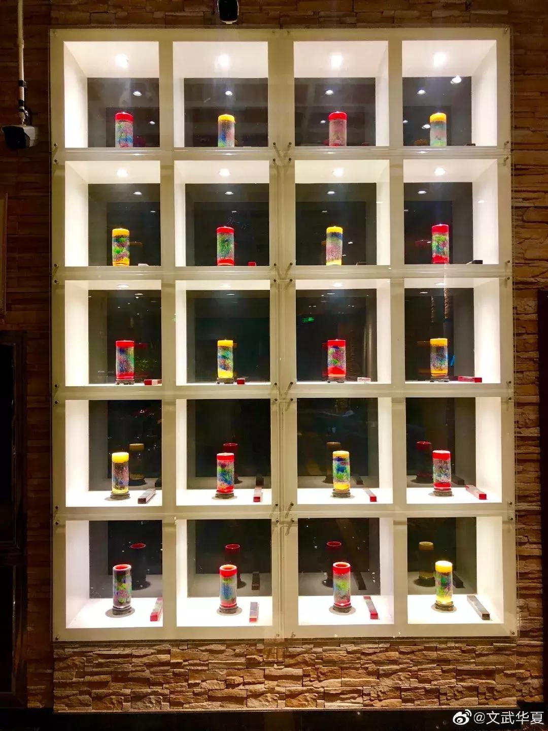 前方高能预警会怎样,前方高能预警提示