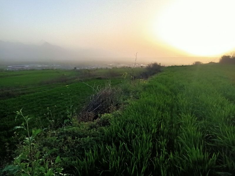 原创随笔父亲,父亲三周年祭日的祭词