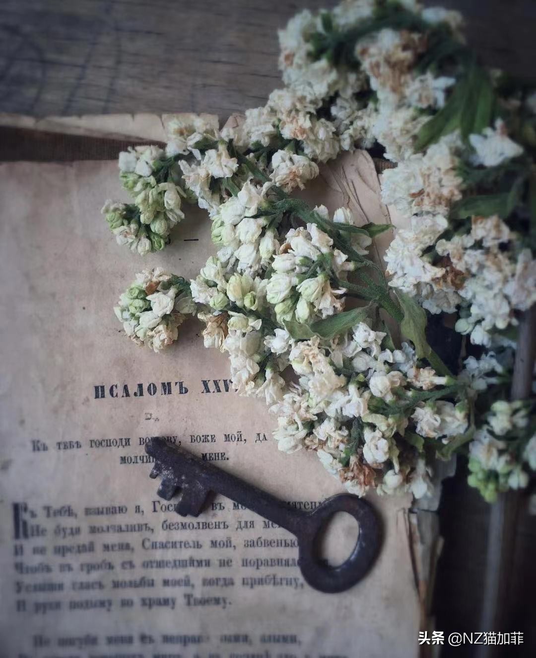 想象力丰富的人赚大钱,想象力才能帮你赚大钱