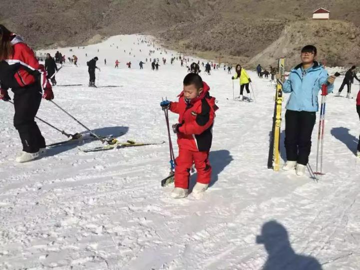 旅游宁夏至河南,旅游宁夏银川