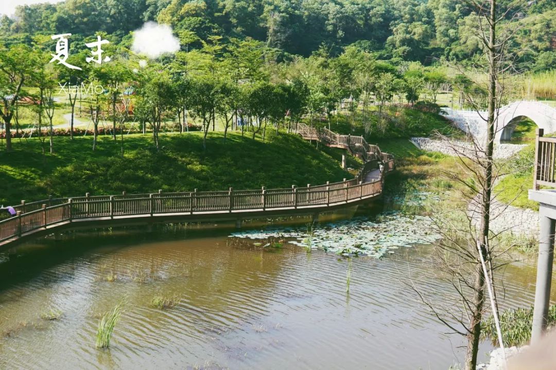 人少还免门票！深圳这片5000000㎡新公园美翻了，“神仙花谷”