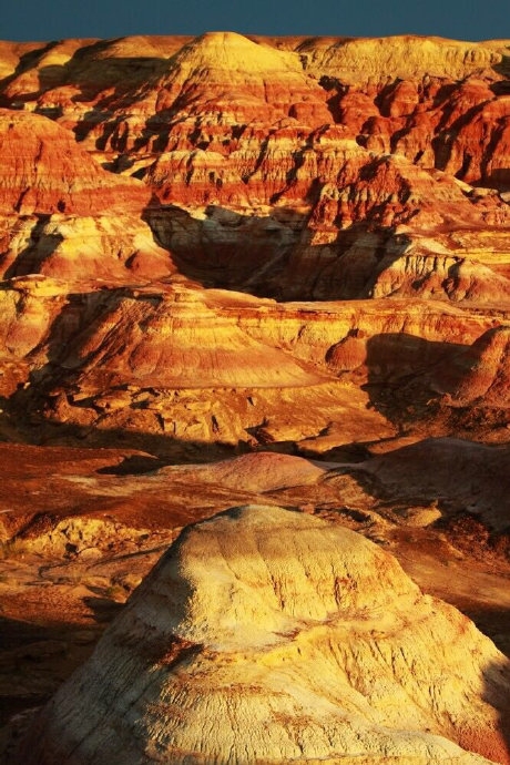 “*疆新**比任何地方安全”一文阅读者众,诸多回复让我流泪