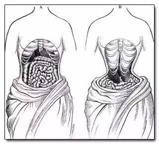 400年前的垃圾,400年前消失的垃圾