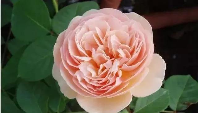 每天学习一点点女性小常识,每天学习一点点科普一下