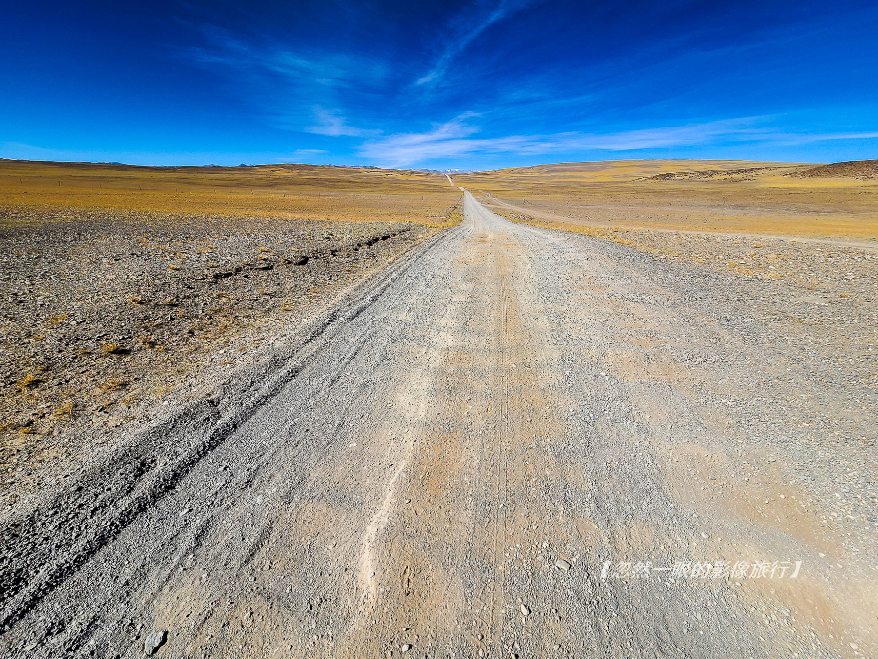 阿里无人区野狼出没,阿里无人区狐狸