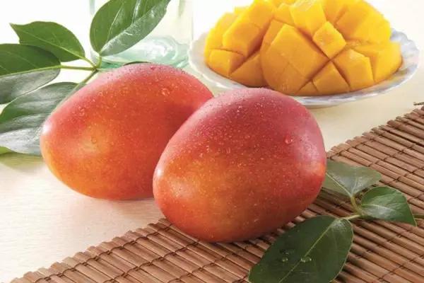 攀枝花芒果三月有得吃吗,攀枝花贵妃芒芒果好吃吗