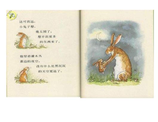 幼儿识字书3-6岁早教趣味识字,3-6岁幼儿启蒙早教书有声