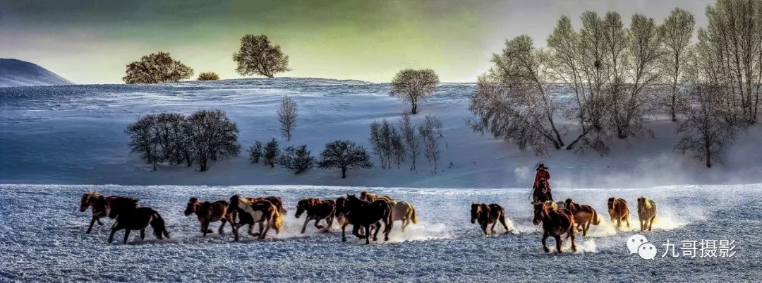 大美坝上草原全景,大美坝上风光系列之一