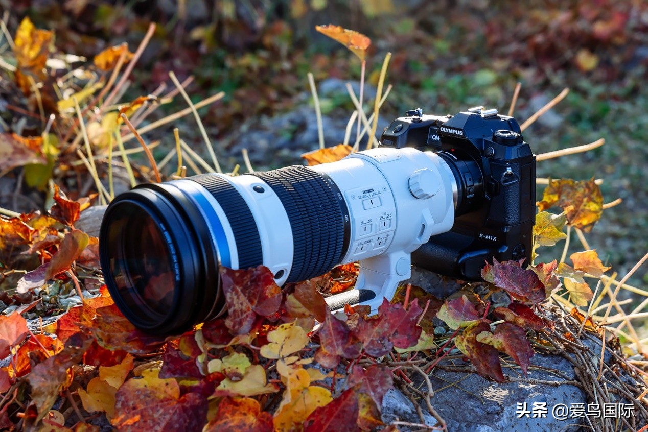 奥林巴斯2000m,奥林巴斯40-150r镜头评测