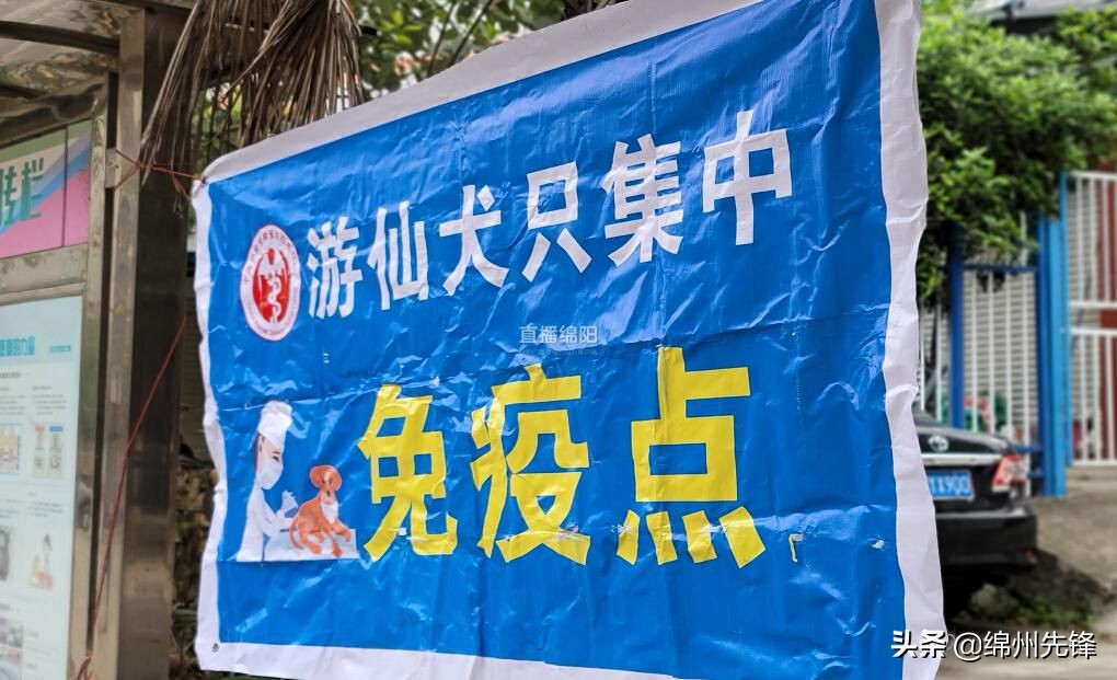 免费的狗疫苗,免费犬疫苗