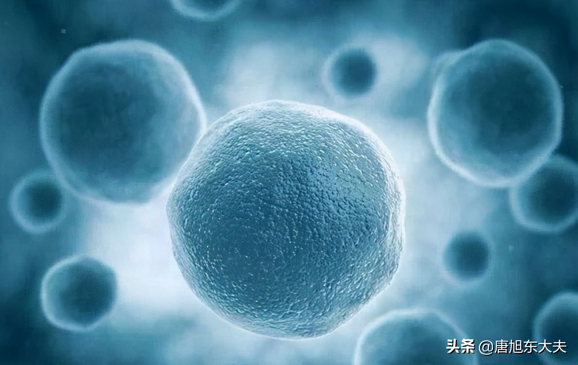 血小板减少补充什么维生素,血小板少有什么可以补的