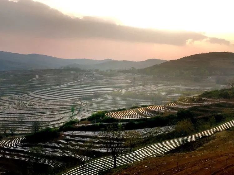 被称为上帝的指纹的图形,上帝的指纹景区