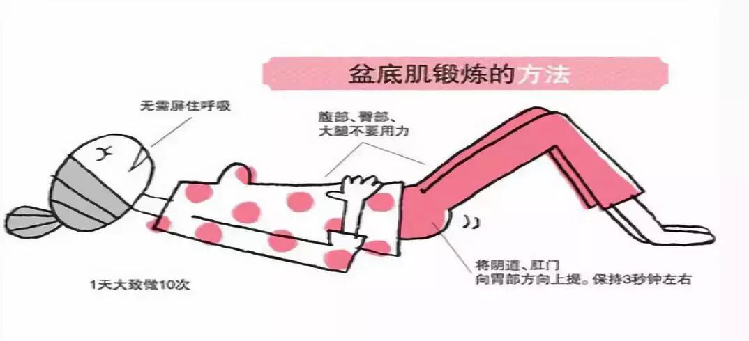 女人的第二张脸盆底肌,女人的第四张脸