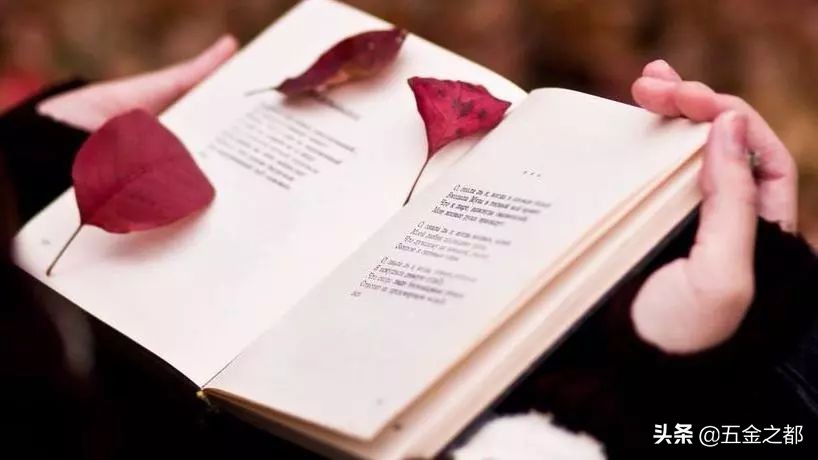 专家是如何成为专家的,什么叫做专家