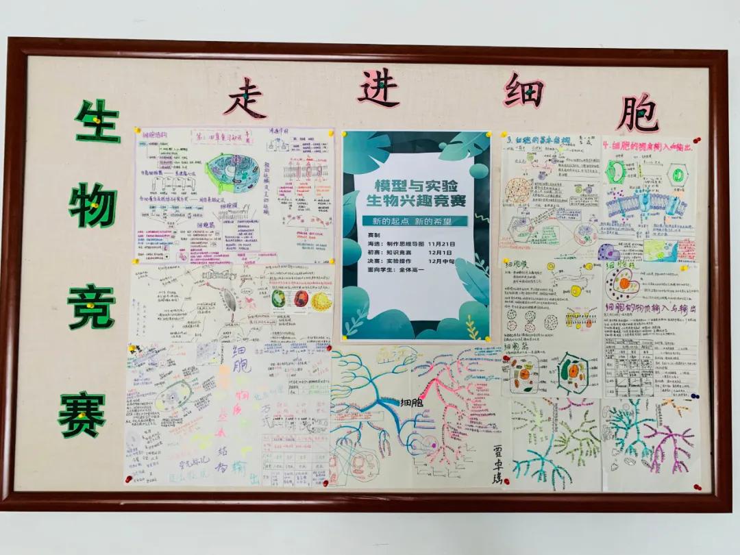 2020鏁欒偛鍏氬缓宸ヤ綔鐨勫唴瀹瑰拰浜偣,鑲叉墠瀛︽牎鍏氬缓