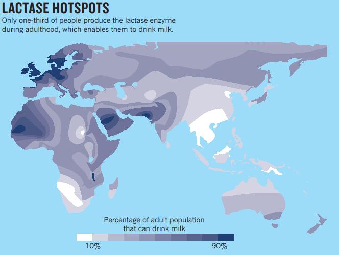 跟着主人的狗狗好吗,跟着主人锻炼的狗狗