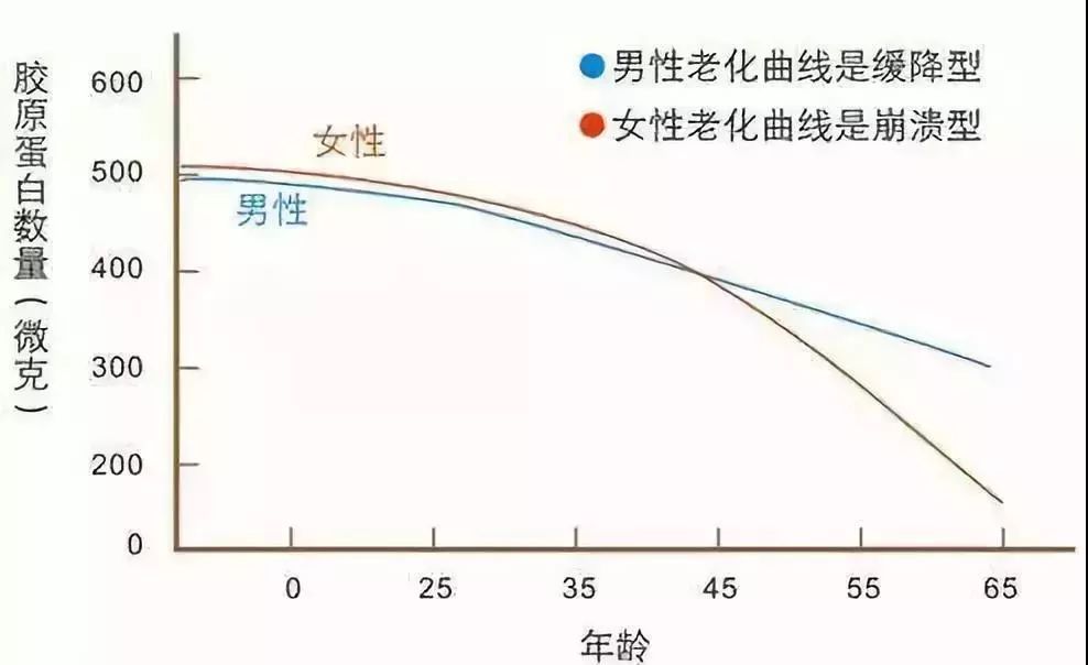 胶原蛋白是干嘛的有什么好处,胶原蛋白属于什么属性