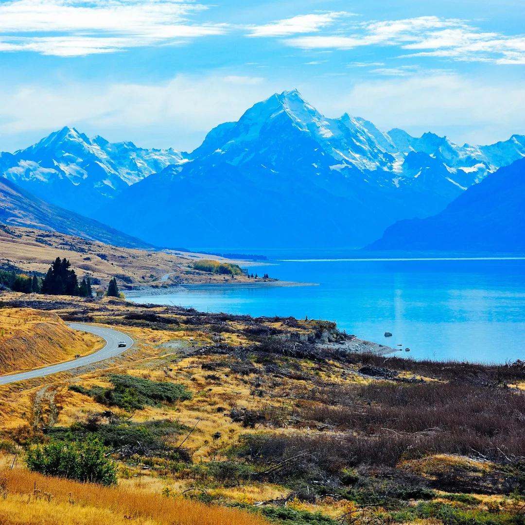 新西兰最有名三文鱼,新西兰帝王鲑三文鱼视频