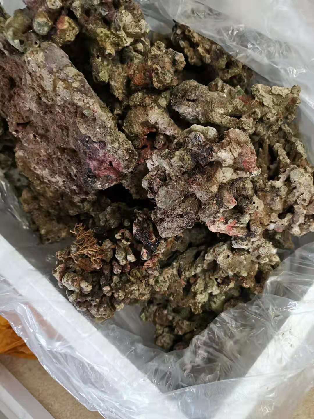 活石的处理,活石处理