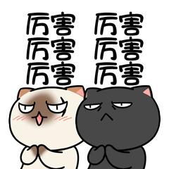 公立学校冬天冷,私立学校的春天来了