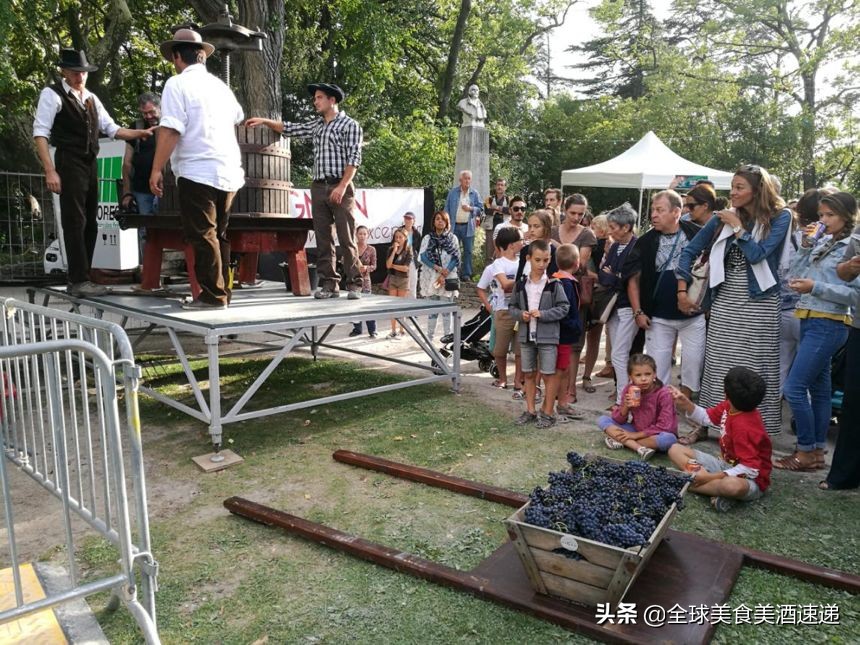 法国葡萄园工人收入,在法国葡萄酒厂打工赚钱吗