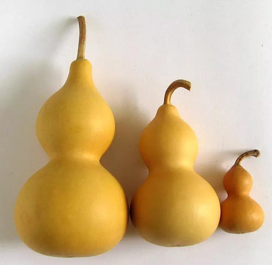 风水学客厅怎么布置,客厅怎么布置风水最旺效果图