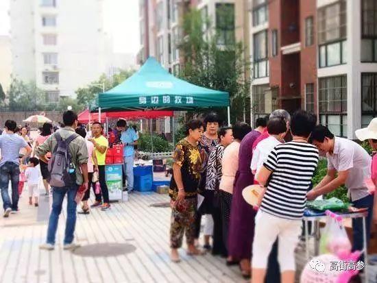 社区拼团转点,社区团购马甲