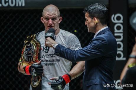 后记的主要内容和感悟,后记写法