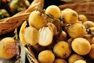 世界稀奇水果品种大全,世界热带奇特水果品种介绍