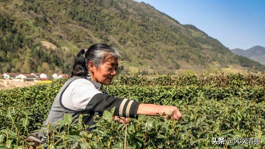 陕西十大避暑小城市,陕西适合养老的4个优美小城