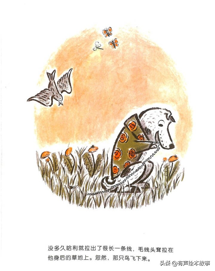 儿童故事哈利的花毛衣,哈利不可以有声绘本故事