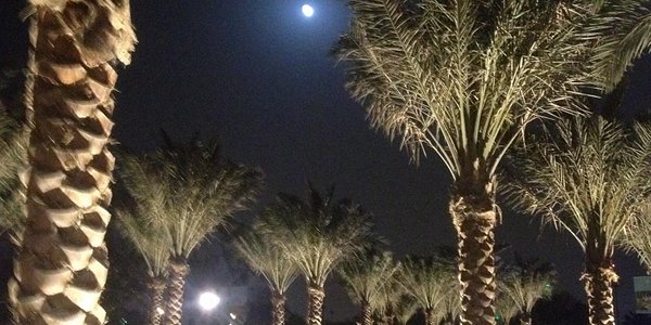 阿布扎比海边度假,海滩和沙漠