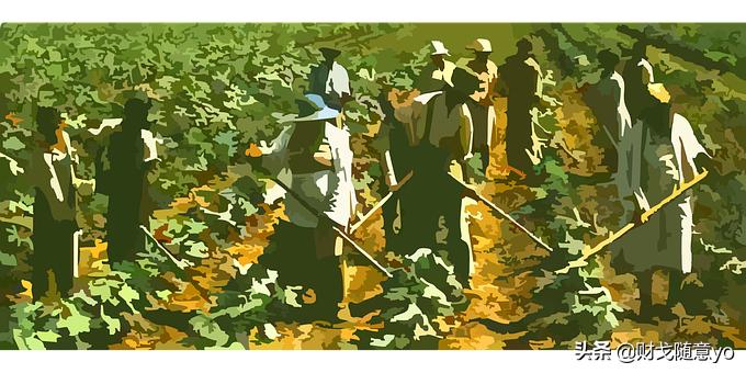 「原创」这个“奇葩资源”造福了人类，为了得到它，三个国家不惜开战