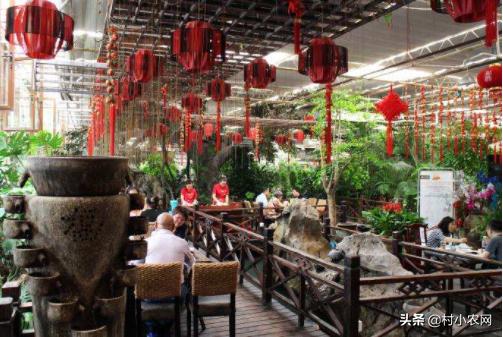 农村种植什么最赚钱最好做,农村种植什么最赚钱500元小本创业