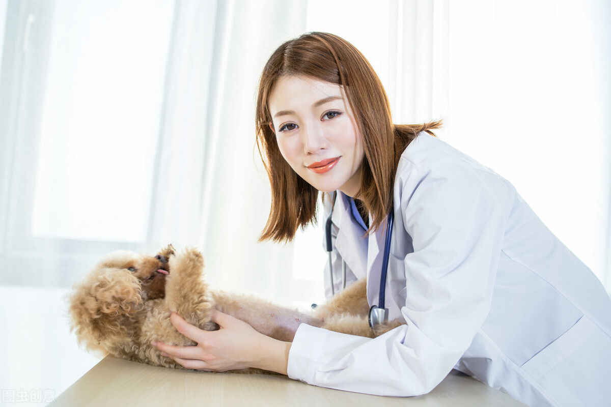 细小病毒会通过什么传染,细小病毒对人的影响