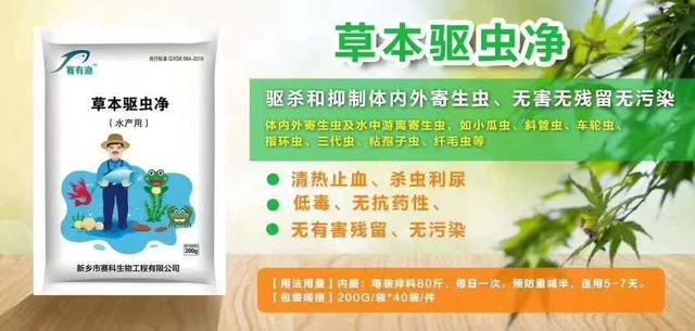 锚头鳋反反复复如何防治,锚头鳋出现的原因